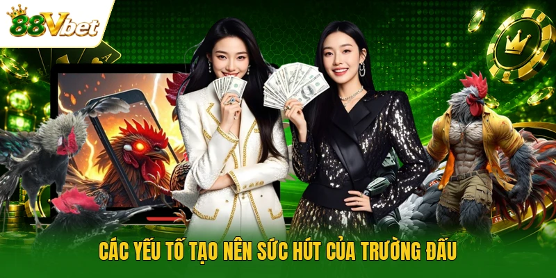 Các yếu tố tạo nên sức hút của trường đấu